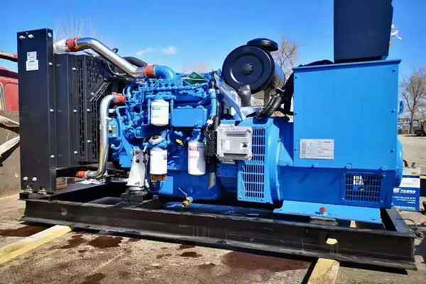 长春维安现代农业发展有限公司机电一批柴油发电机组发往客户手中